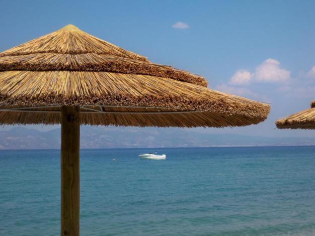 Hotel Marzi Beach And Bungalows Kokkónion Exteriér fotografie